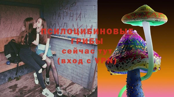 МДПВ Дмитровск
