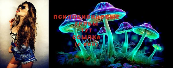МДПВ Дмитровск